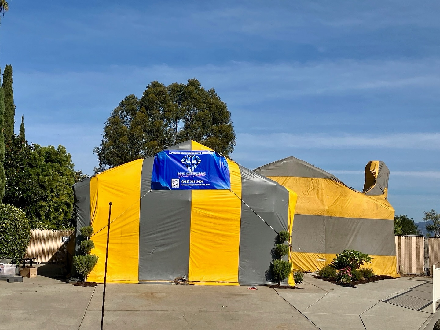 MVP Solutions termite fumigation service